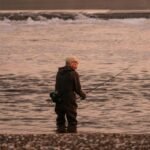 Is It Better to Apply Early Action, Early Decision, or Regular