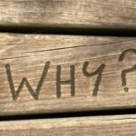 Why Location Matters More Than You Think in College Choice